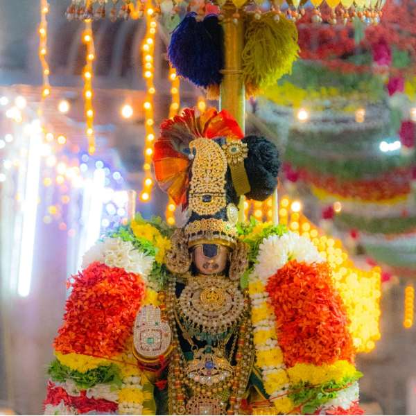 நம்பெருமாள் தரிசனம் 