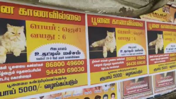 போஸ்டர் 