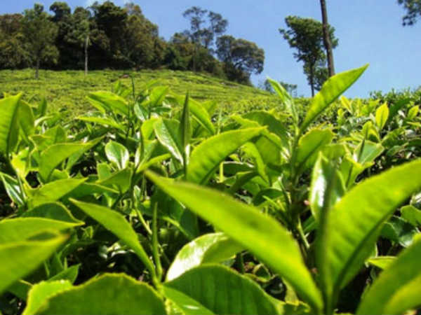 இது முதன் முறை அல்ல 