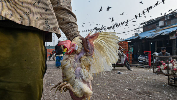 கண்காணிப்புகள்