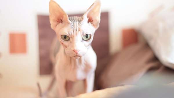 பயந்துவிட்டனர்