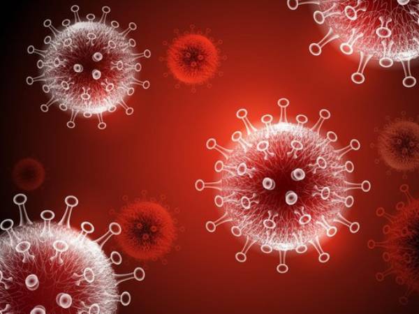 புதிய வைரஸ் 