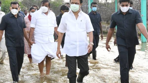 திட்ட அறிக்கை 