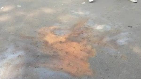  வாக்குச்சாவடியில் குண்டுவீச்சு
