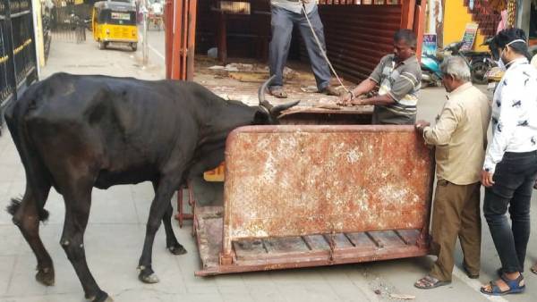  சென்னை மாநகராட்சி உறுதி