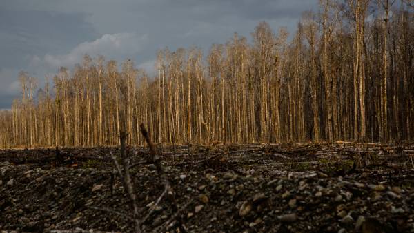 இன்னொரு குழி இன்னொரு குழி