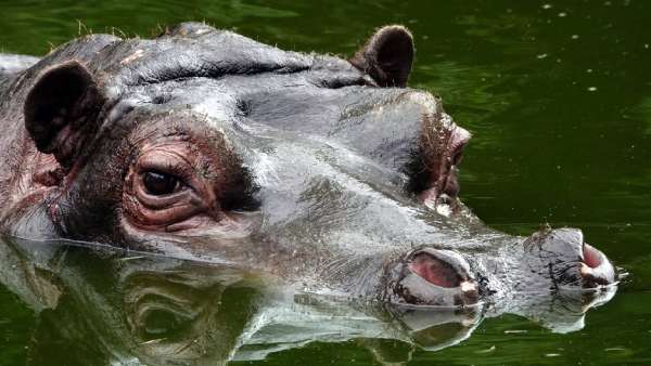 உலகமெங்கும் கொரோனா பாதிப்பு உலகமெங்கும் கொரோனா பாதிப்பு