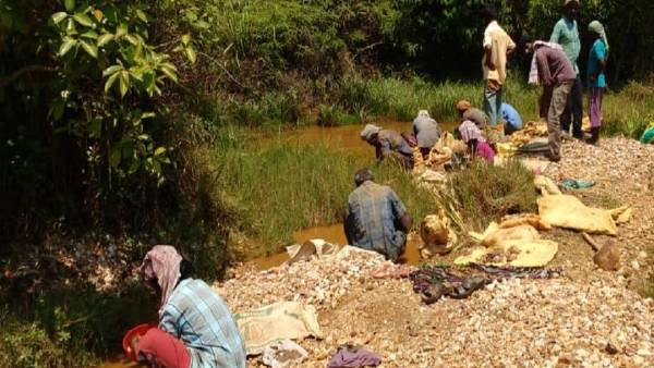 குட்டியானை குட்டியானை