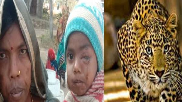 சிறுத்தை 