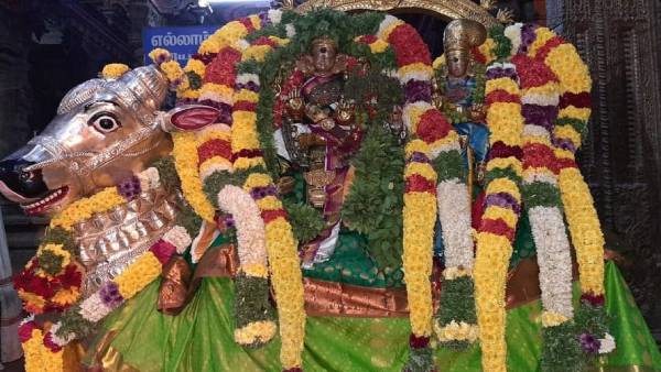 கைப்பிடி அரிசி தானமாக கொடுங்கள் 