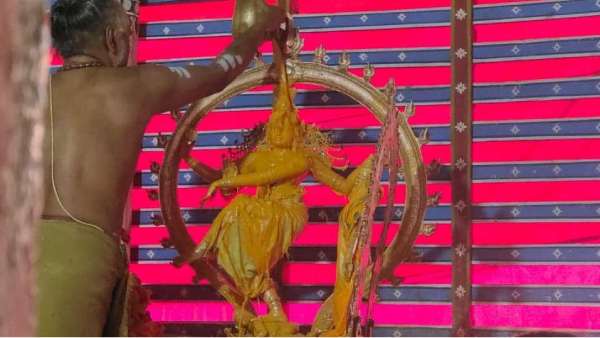 தாமிரசபையில் தாண்டவ தரிசனம் 