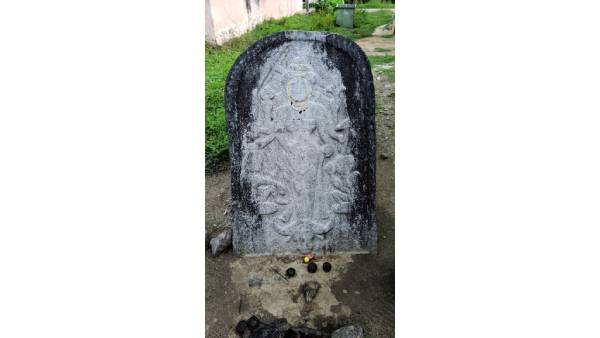 வயல்வெளி வயல்வெளி