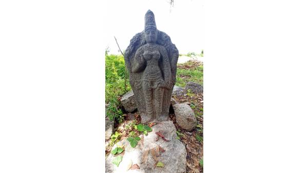 சரப்பளி சரப்பளி