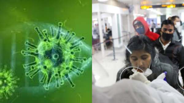 5,00,000 இறப்புகள் 