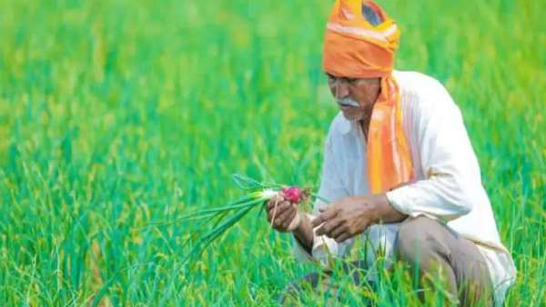 PM Modi transfers Rs 2000 instalment to 11 crore 60 lakh farmers bank accounts PM Modi transfers Rs 2000 instalment to 11 crore 60 lakh farmers bank accounts