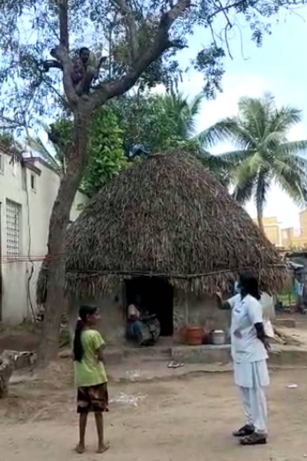 வில்லியனூர் 