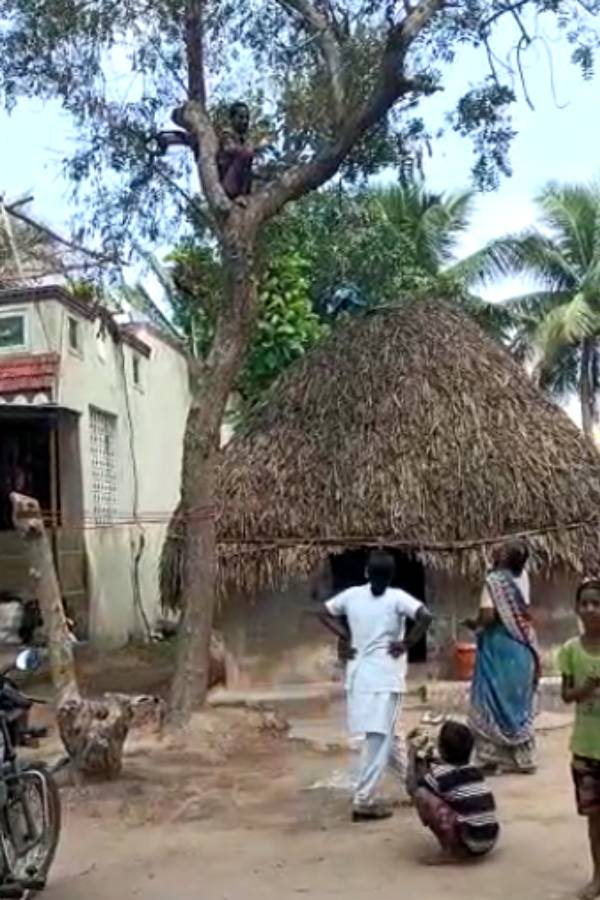 தடுப்பூசி பயந்து 