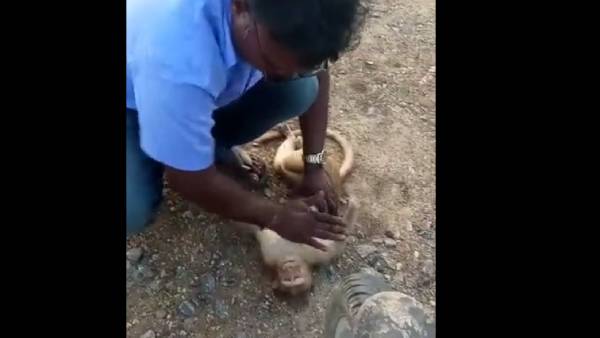 அன்பு அன்பு