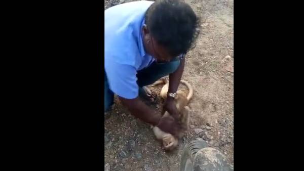 மனிதர்கள் மனிதர்கள்