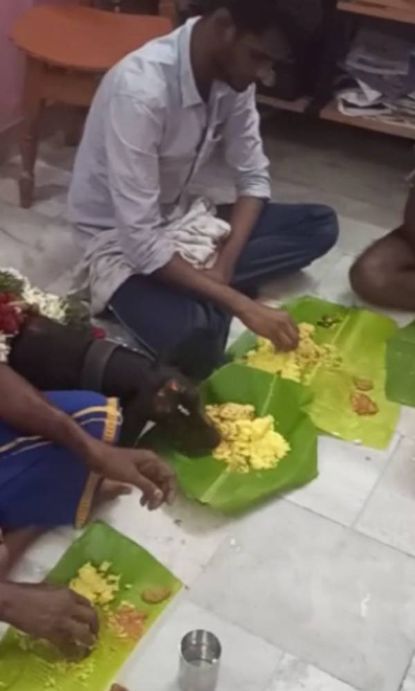 வீடியோ வைரல் 