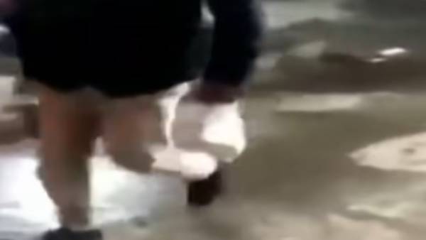 தயிர் வாங்கிய டிரைவர் தயிர் வாங்கிய டிரைவர்