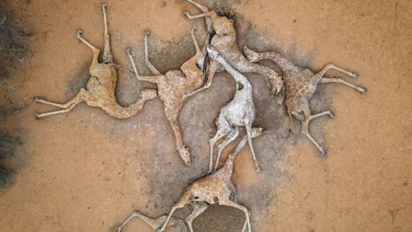 2.5 மில்லியன் மக்கள் பாதிப்பு 