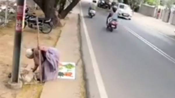 முதுமையிலும் உழைப்பு