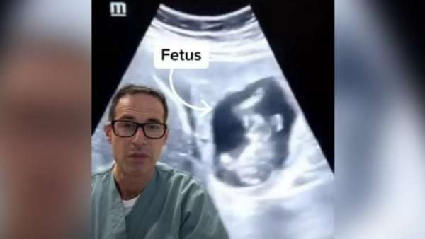 பெண்ணின் கல்லீரல் 