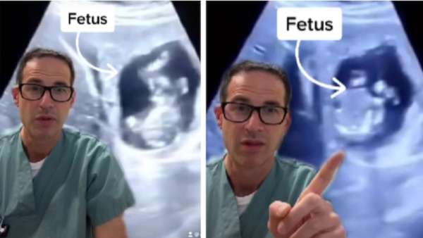 முன்னோர்கள் 