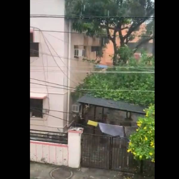 வெள்ளை புல்வெளி 