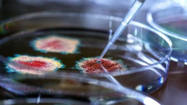 நெதர்லாந்து, இங்கிலாந்து 