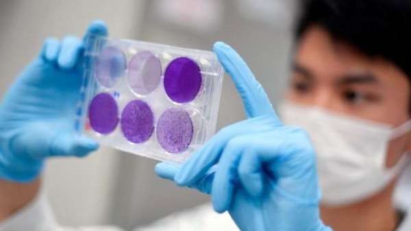 ஆய்வகங்கள் 