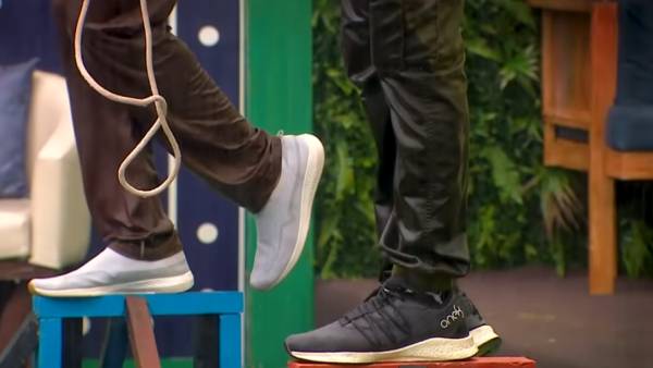 நிரூப்பின் செயல்பாடு 