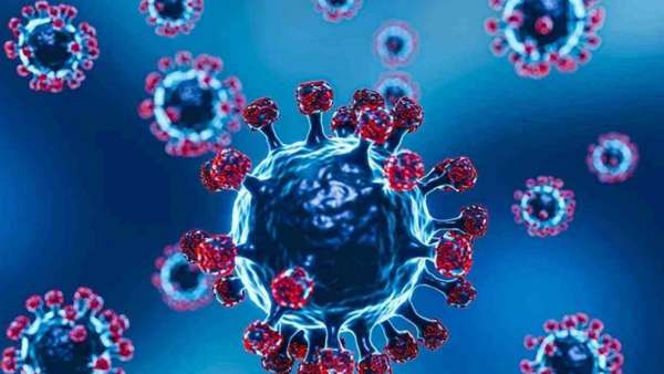 இரண்டு வகை இரண்டு வகை