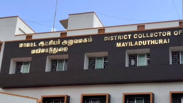 சம்பா சாகுபடி 