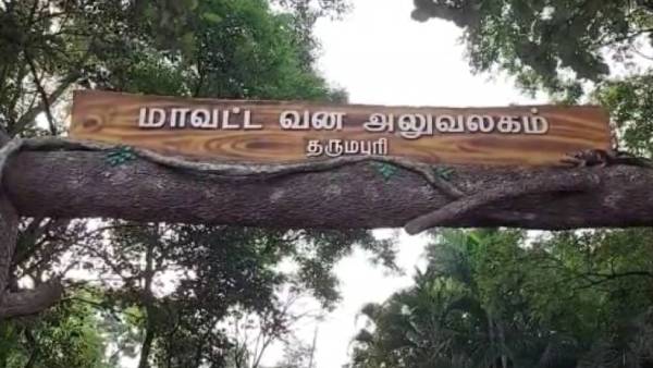 பெற்றோரை இழந்த பெண் 