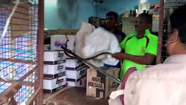 பாம்பை பிடித்த தீயணைப்பு வீரர்கள்