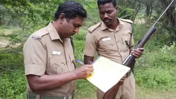 வெளிமான்கள் அதிகரிப்பு வெளிமான்கள் அதிகரிப்பு