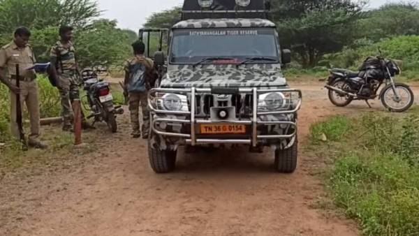 வல்லநாடு வெளிமான் சரணாலயம் வல்லநாடு வெளிமான் சரணாலயம்