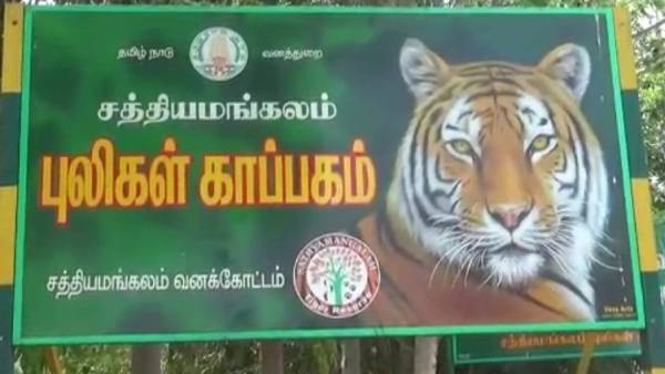 வனவிலங்குகள் கணக்கெடுப்பு வனவிலங்குகள் கணக்கெடுப்பு