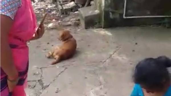 பணியாளர்கள் 