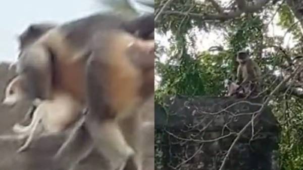 அதிர்ச்சி 