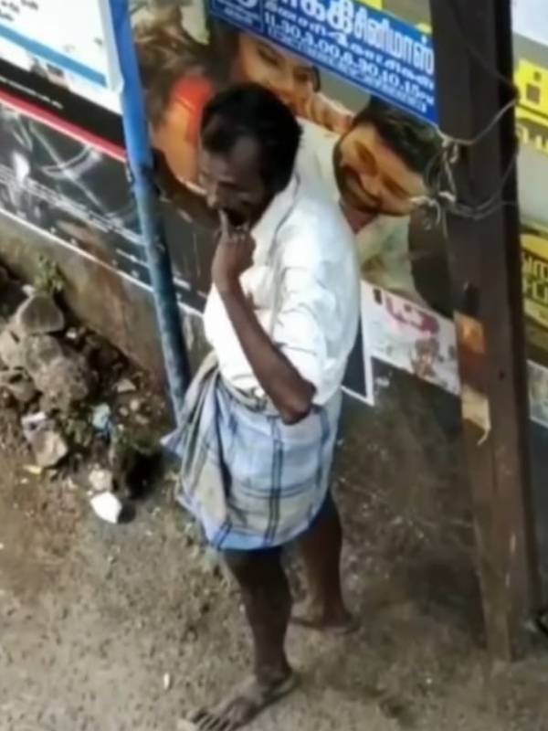 வைரல் வீடியோ