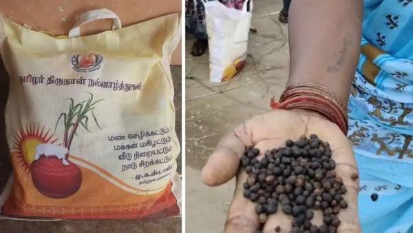 சாலையில் கொட்டி போராட்டம்