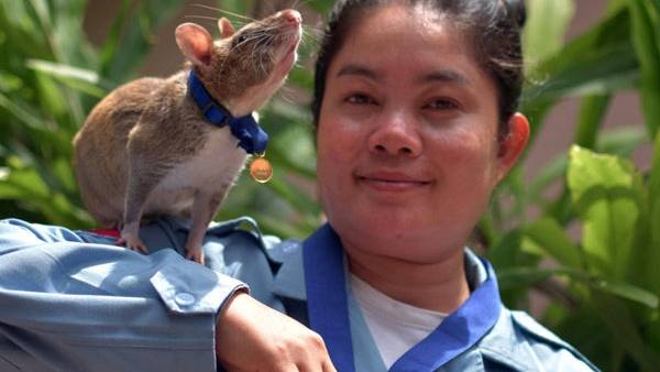  பதக்கம் 