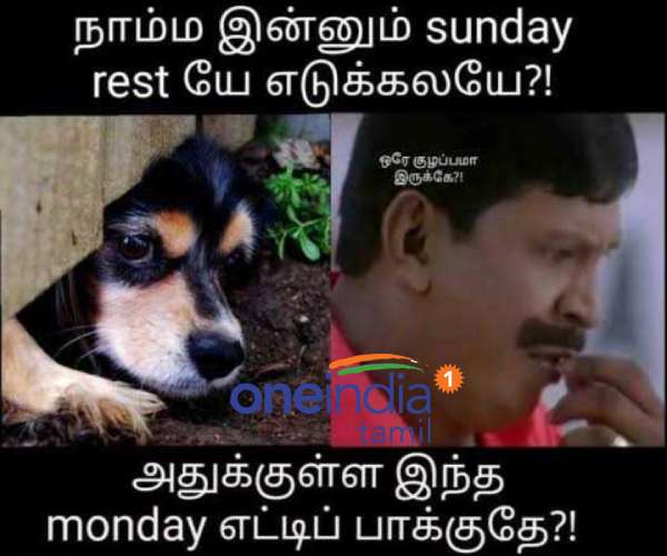 Funny memes collection on monday