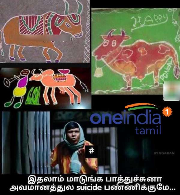 Pongal memes: Funny memes collection on mattu Pongal kolam