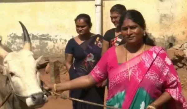  முன்மாதிரி 