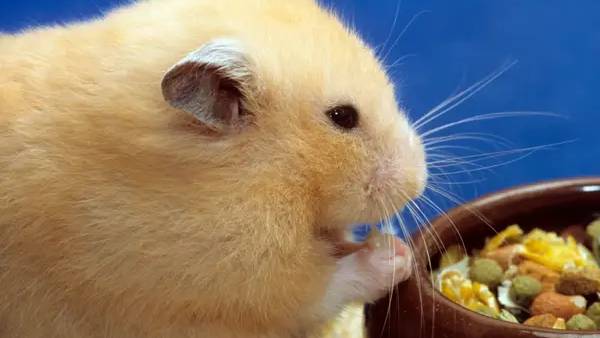 கண்ட்ரோல் ரூம் 