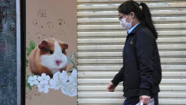  மீண்டும் மீண்டும் வைரஸ் 